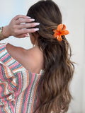 Pinzas para el pelo diferentes colores