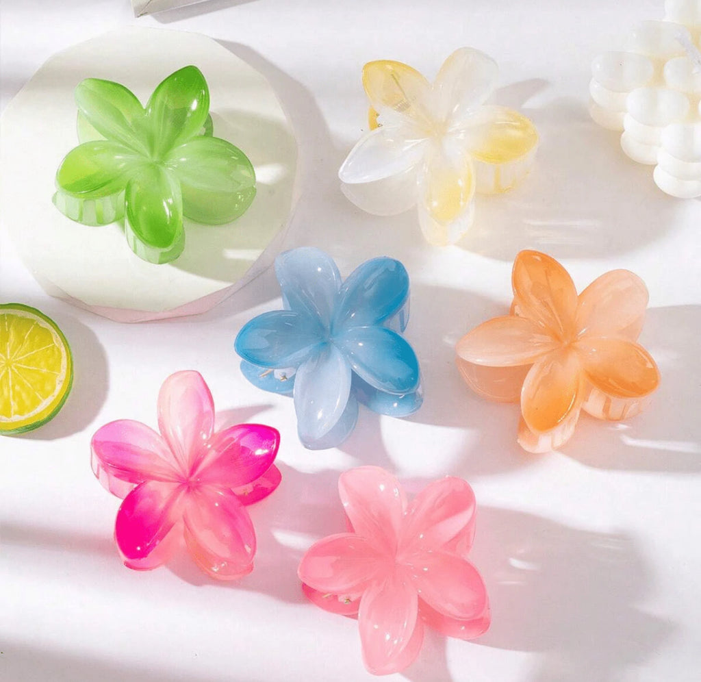 Pinzas para el pelo diferentes colores